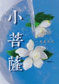 小菩萨小说封面