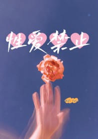 【百合】性爱禁止（双胞胎骨）封面